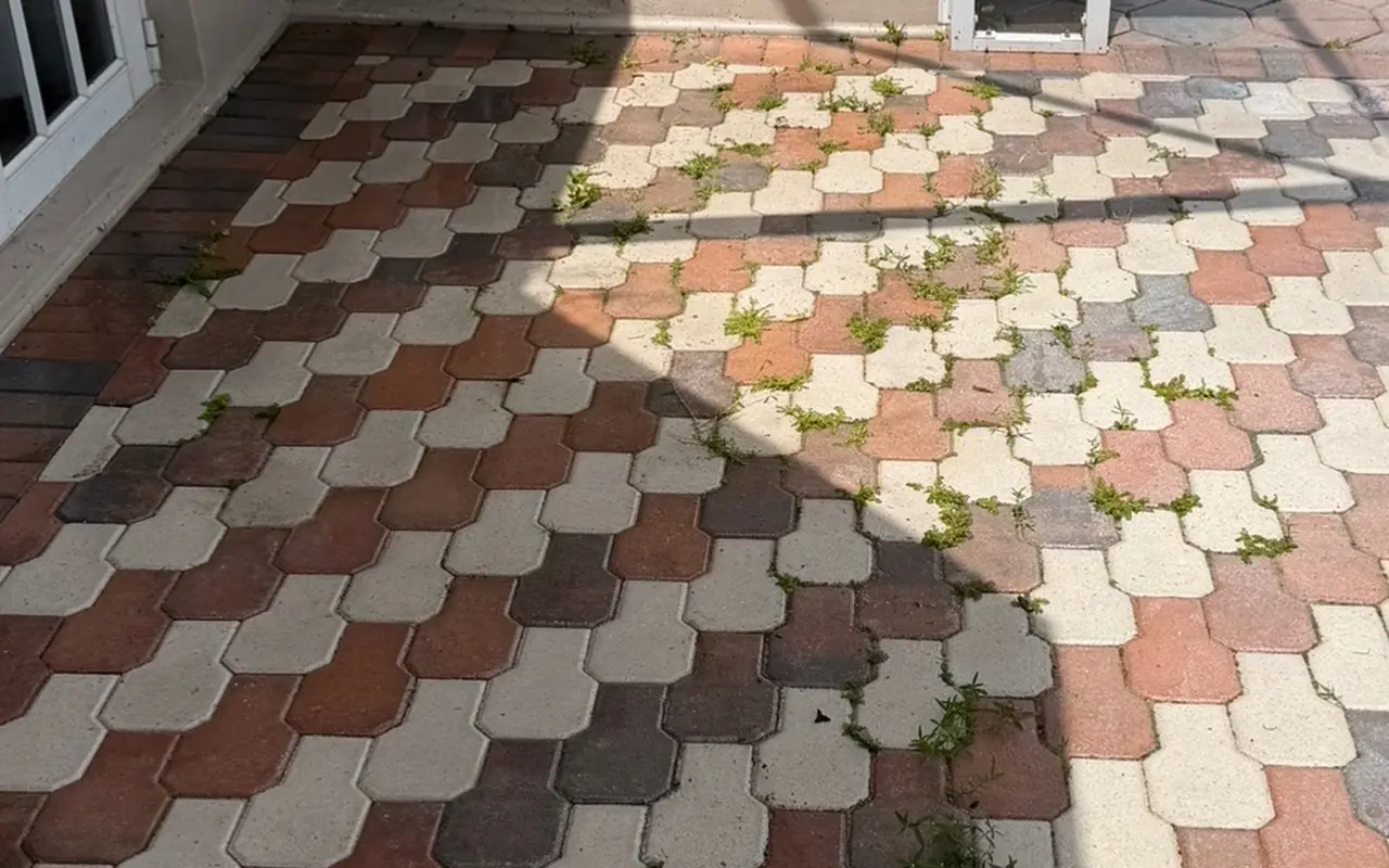 Pavers before cleaning
