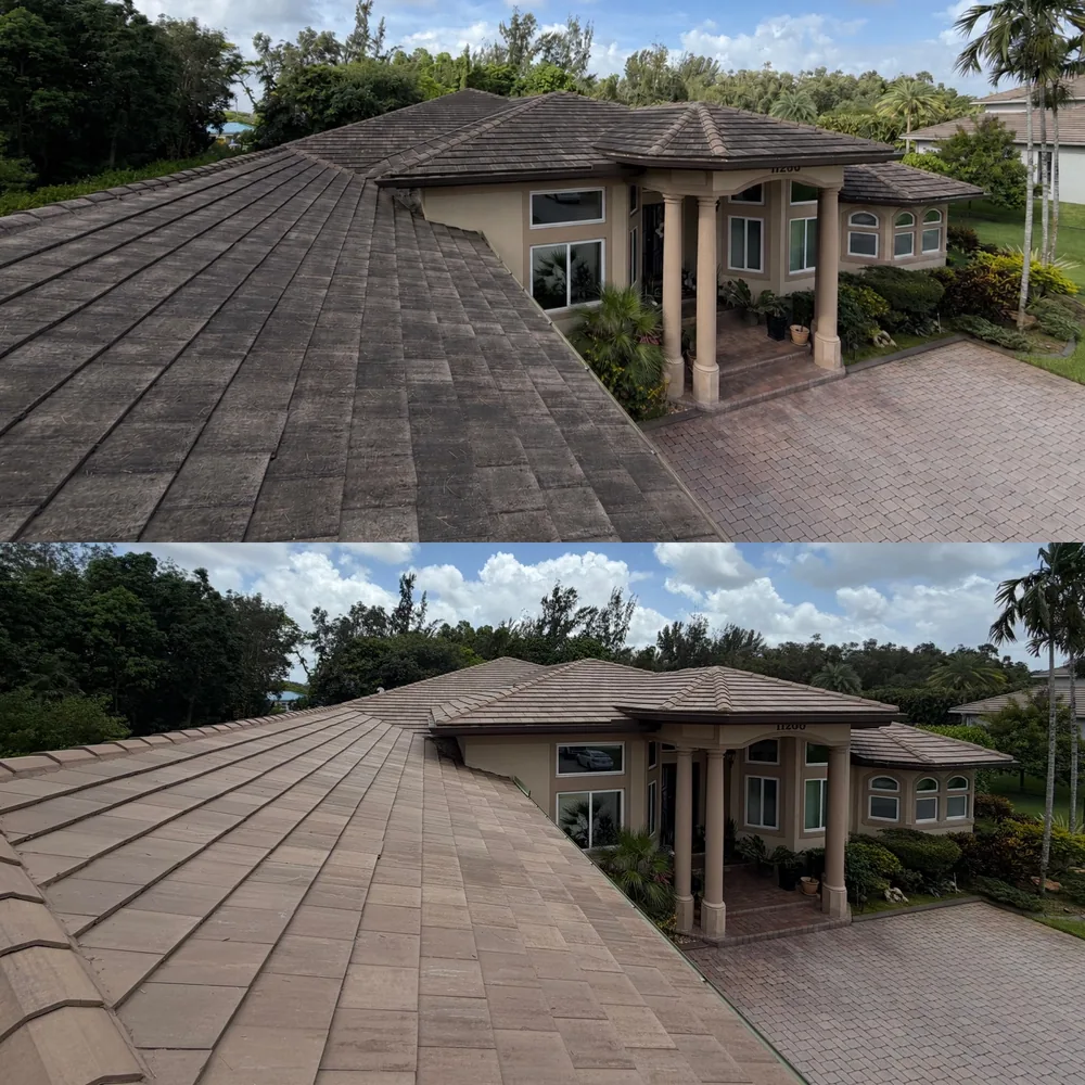 Tile roof before and after soft wash roof cleaning